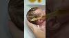 Silicone Baby Doll Ivy Ig Siliconebabyland Siliconebaby Rebornbaby Reborn Siliconedoll Doll