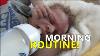 Silicone Baby Morning Routine Drinks Milk Bottle Reborn Baby Dolls All4reborns Com