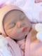 Silicone Reborn Baby Doll Lifelike Girl Newborn Floppy Squishy 19Infant Gift