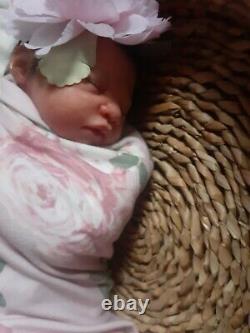 Soft vinyl reborn doll (Lane)