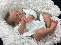 Stunning Newborn Reborn Baby Girl Fake Baby Painted Hair Xander By Cassie Brace