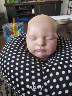 Stunning Reborn Doll With Coa Laura