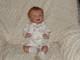 Super Cute Reborn Doll Lexi by S. Faber, 20 4 Lbs. 5 Oz. COA