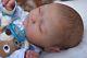 Ultra Realistic Newborn Reborn Baby Boy Bailey by Natalie Scholl