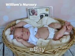 WILLIAMS NURSERY REBORN BABY GIRL DOLL Realborn Alma Sleeping REALISTIC NEWBORN